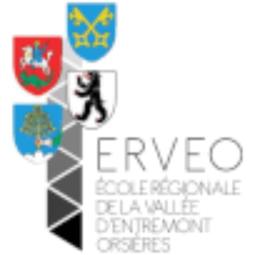 cropped logoerveo
